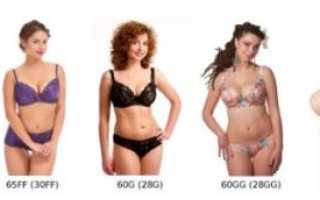 Факты о женской груди, как выглядит 3 размер бюста