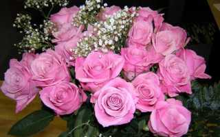 Сохранение и оживление срезанных цветов дома – как сохранить розы в вазе дольше всего?