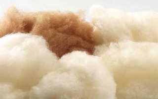 Одеяло из верблюжьей шерсти – характеристики, плюсы и минусы, сравнение с другими изделиями