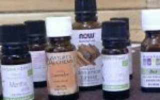 Почему масло жожоба полезно для тела: рецепты масок от морщин и другие способы применения